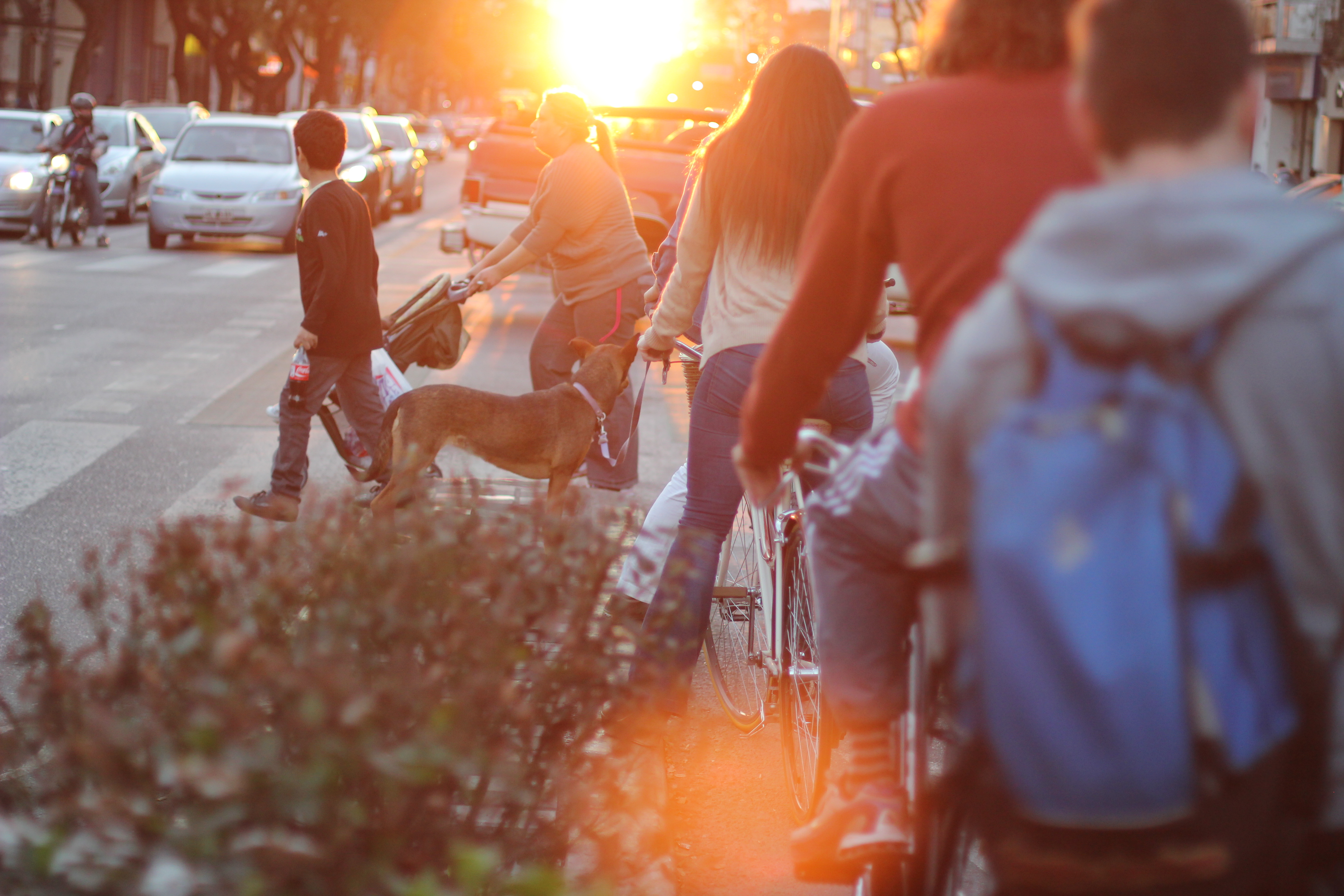 Planificar y observar la movilidad de las ciudades
